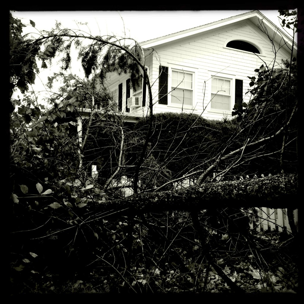 Aftermath / storm done, calculate / damages.