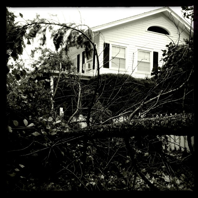 Aftermath / storm done, calculate / damages.