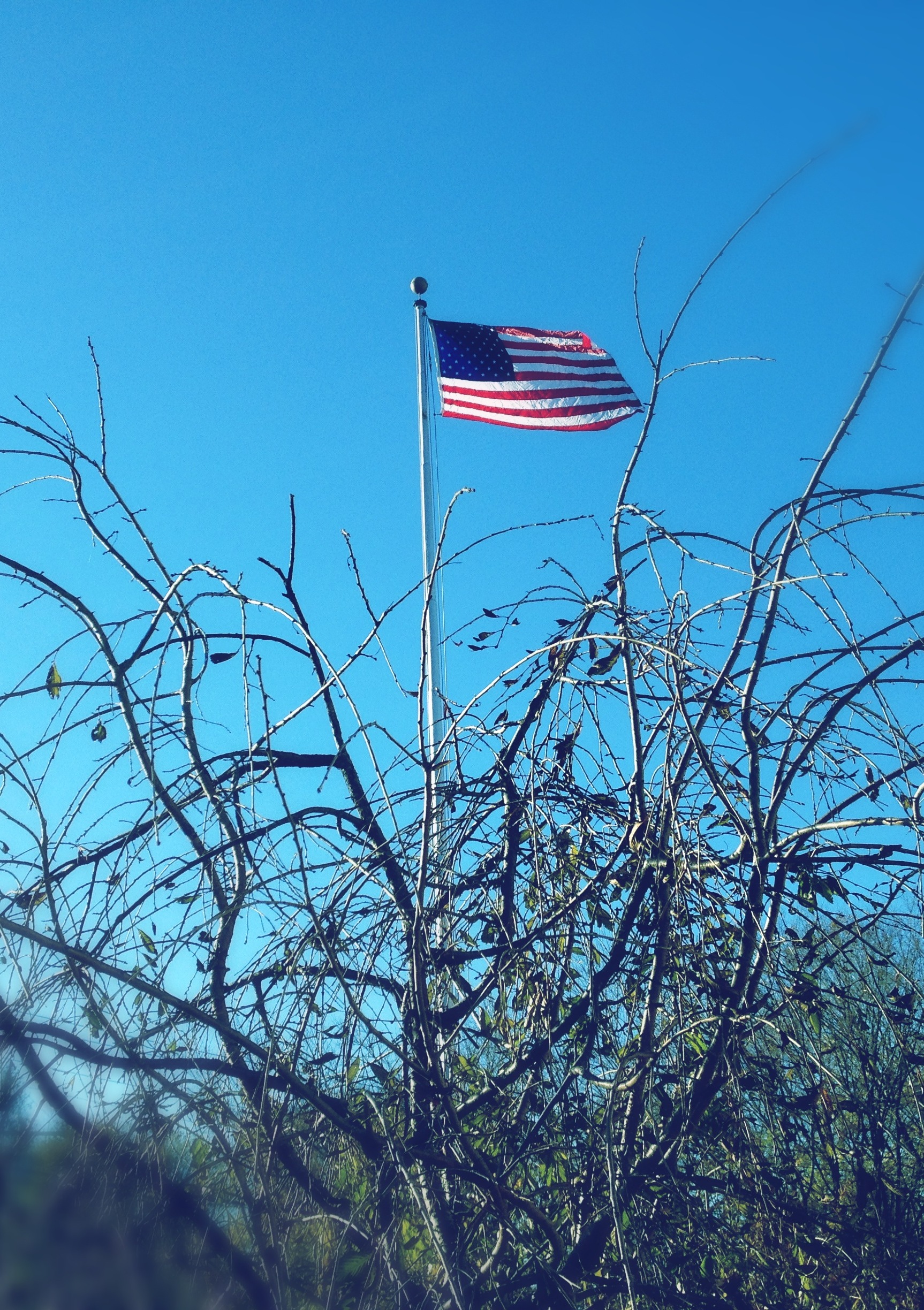 Election over / appeal to our new leaders / use power wisely! Haikumages