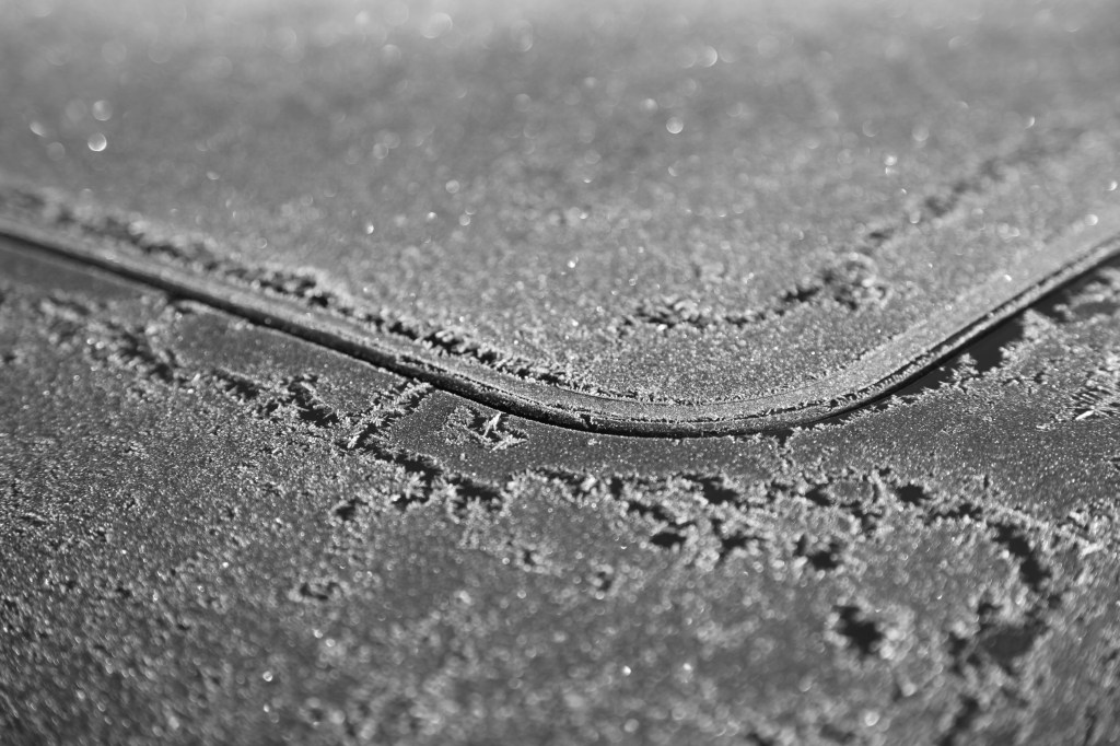 Overnight / frost painted world white / aging all. Haikumages