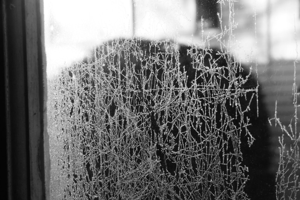 Last night's chill / would not leave the house / all day long. Haikumages