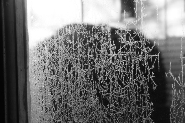 Last night's chill / would not leave the house / all day long. Haikumages