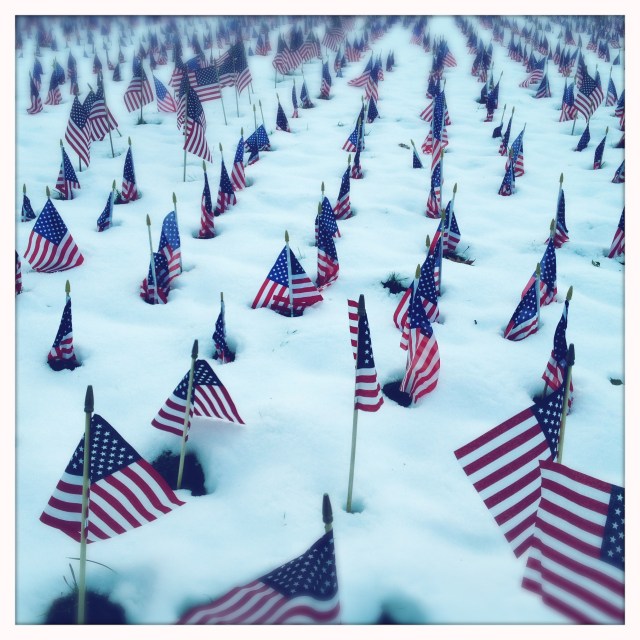 Veterans / day is not enough / to thank them.  Haiku