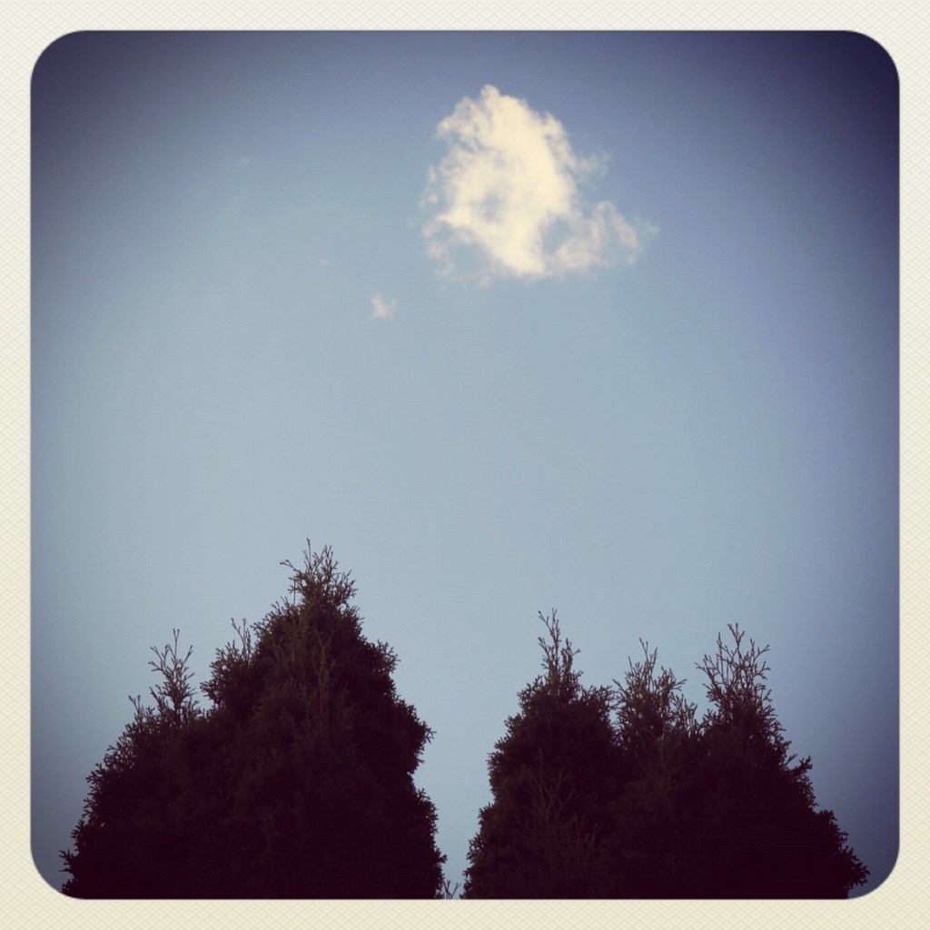 Volleyball / two trees bandy about / a small cloud.