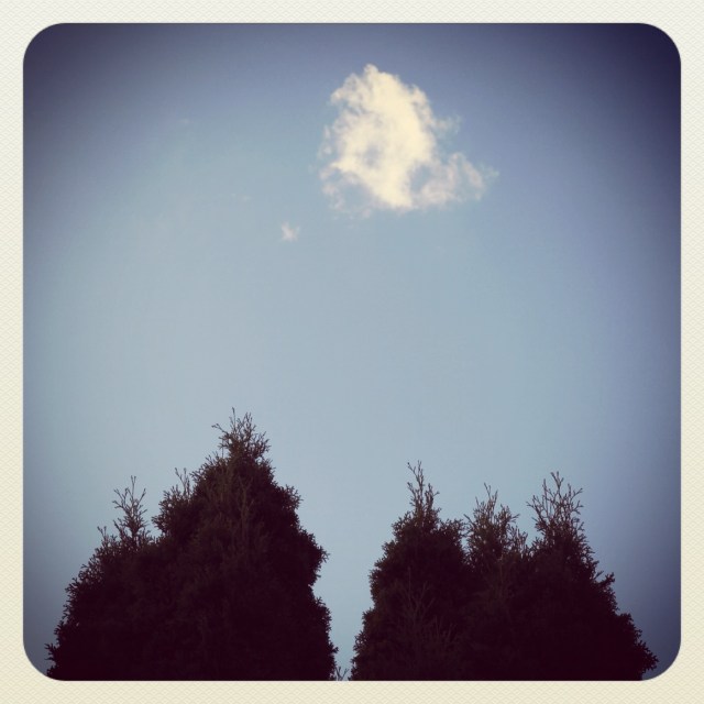 Volleyball / two trees bandy about / a small cloud.
