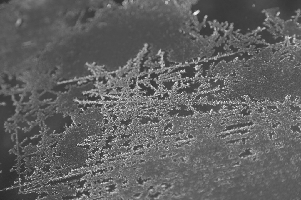 If it is ending / tomorrow will be quite an / interesting day. Haikumages