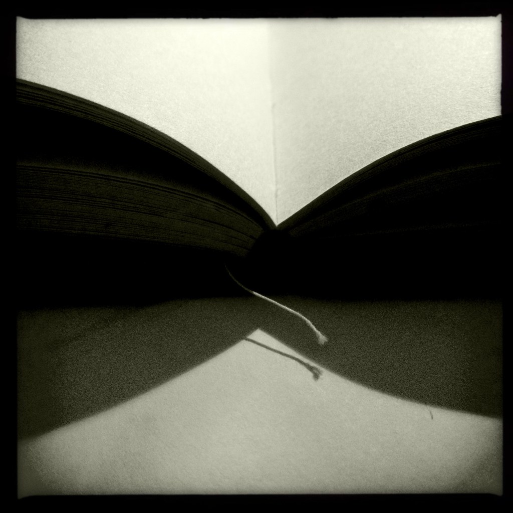 All our soul stories / empty pages printed in / invisible ink. Haikumages