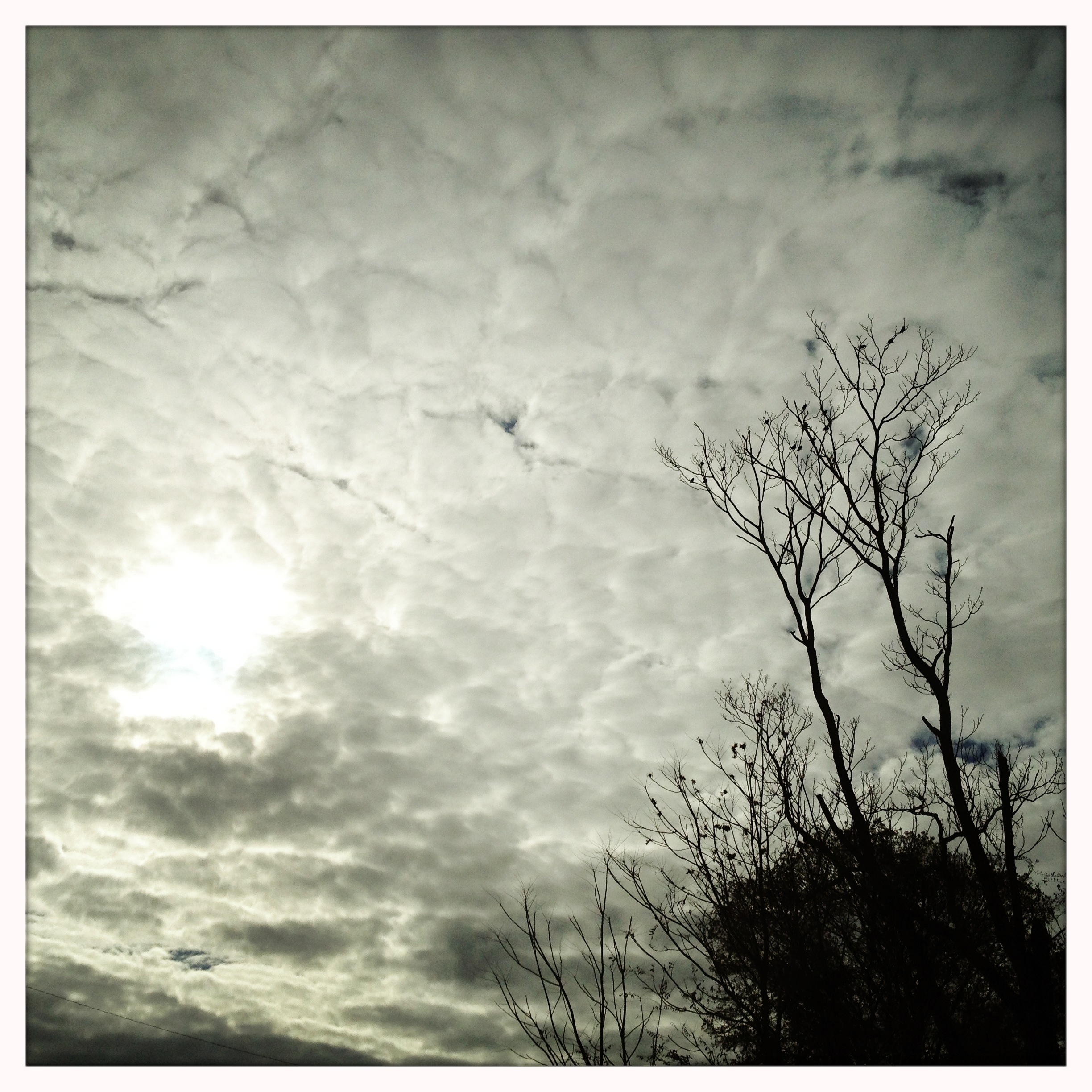 Sun attempts / to unchill autumn / afternoon..