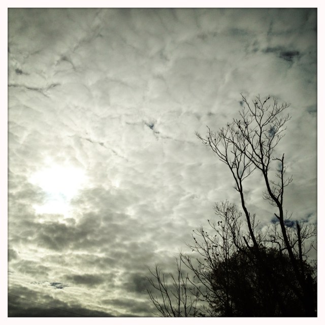 Sun attempts / to unchill autumn / afternoon..