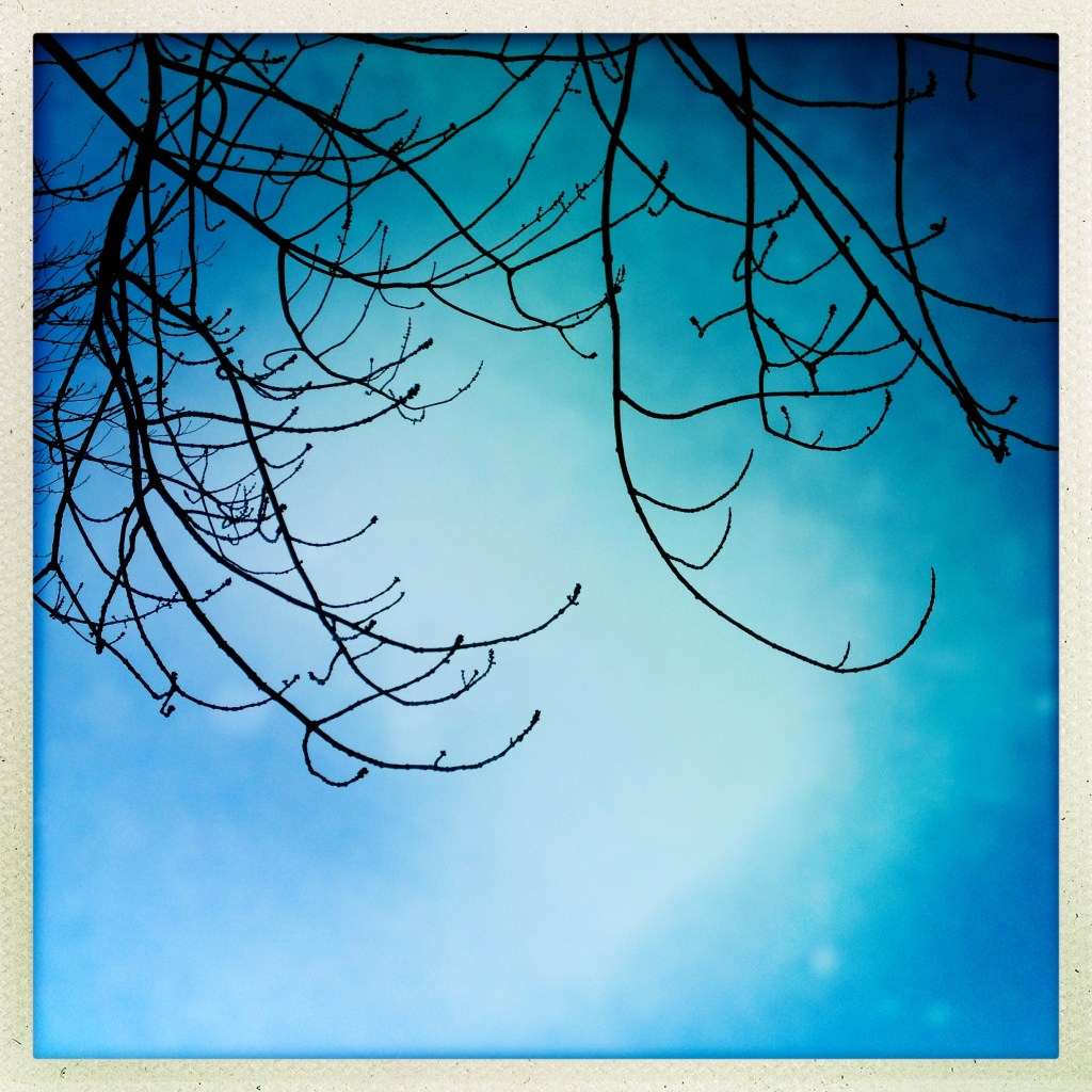 End of November / winter anticipation / December is next. Haikumages