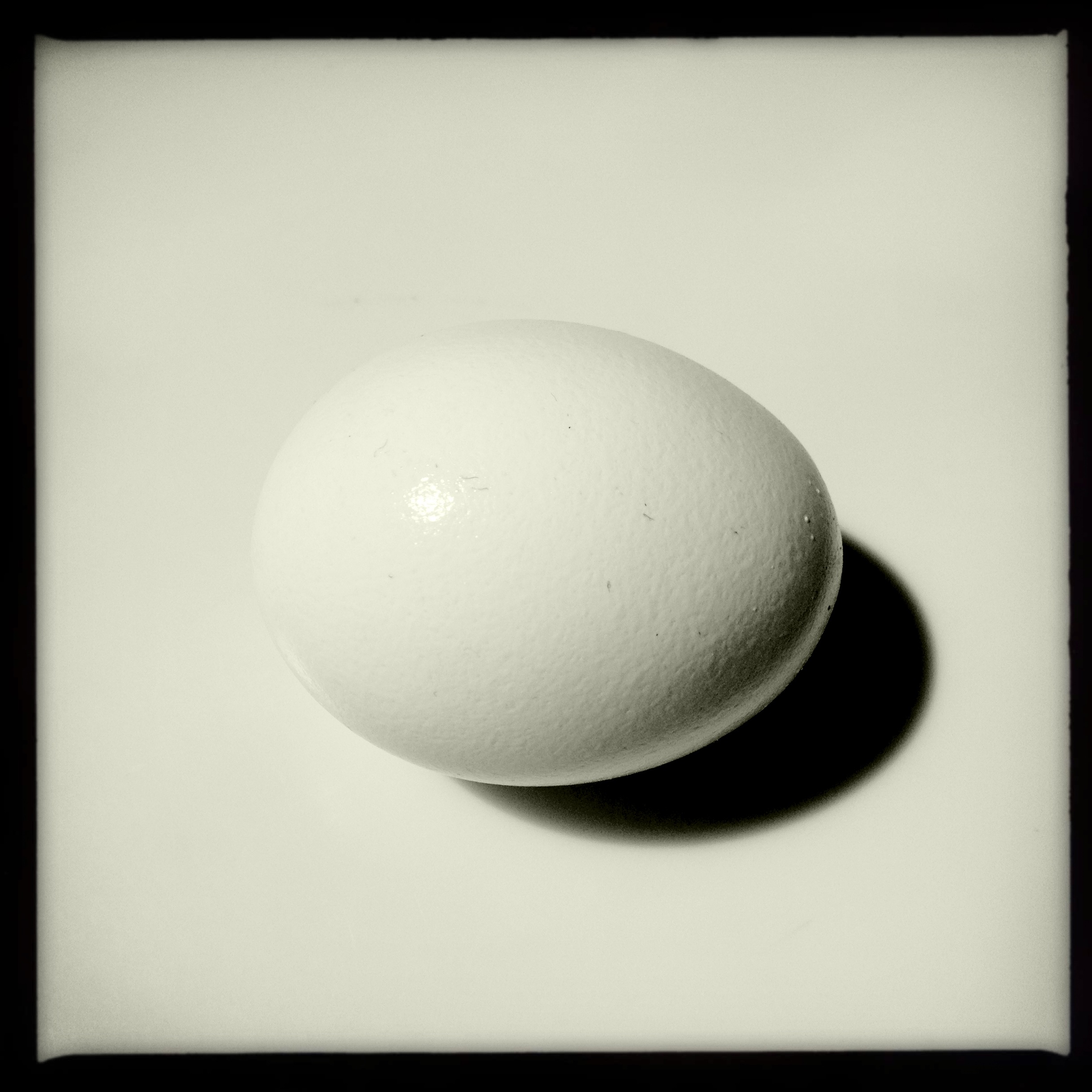 Which came first? / Chicken, egg, or catch / twenty-two? Haikumages