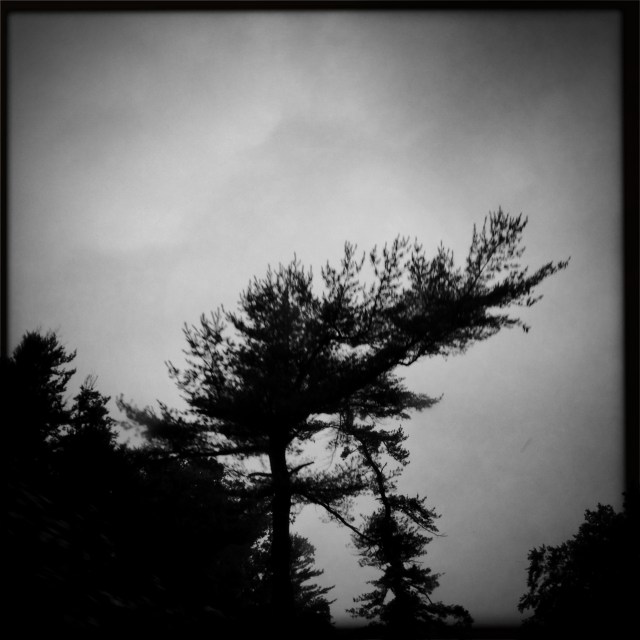 Morning in mourning / thickening clouds, a dark veil / pulled across her face.  Haikumages