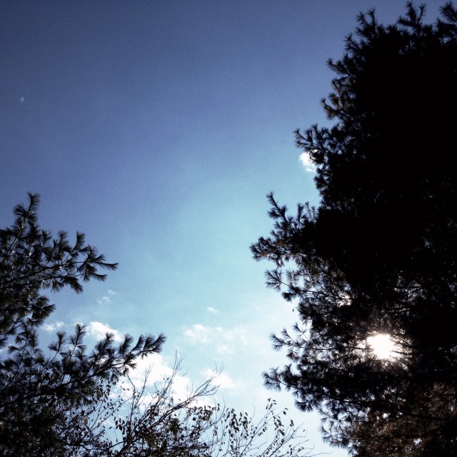 Whipping wickedly / chill wind makes a liar of / brightly shining sun. Haikumages