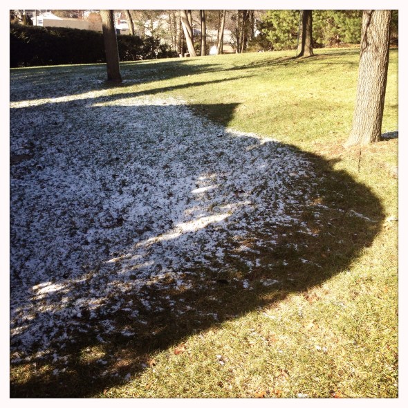 backyard-shadow-snow-lines
