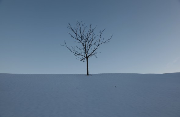 The polar vortex / far from home, holds us tightly / in its icy grip. Haikumages