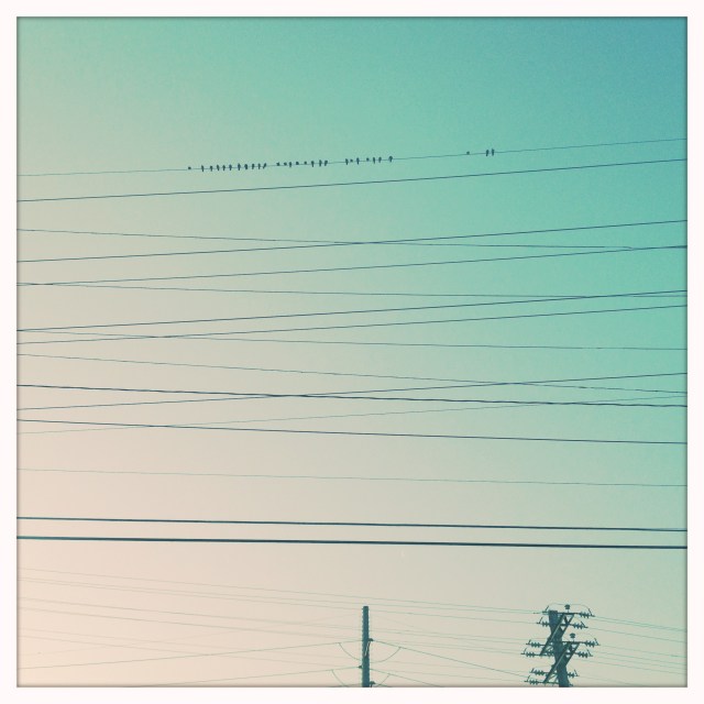 Dawn colors / take a cloudless sky / from the night. Haikumages