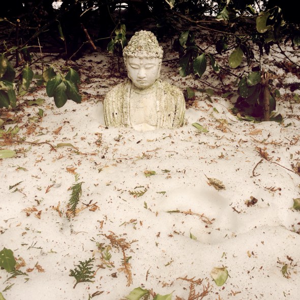 Snow recedes / slowly revealing / the Buddha. Haikumages