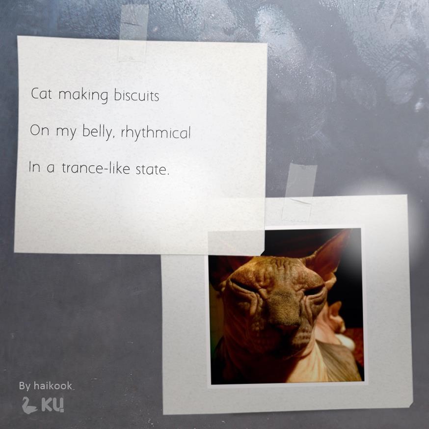 Cat making biscuits / on my belly rhythmical / in a trance-like state. Haikumages