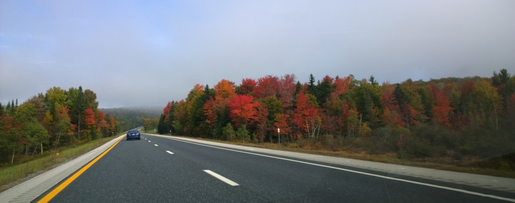 Sumac, maple reds / first autumn brushstrokes from the / north country palette. | haikumages