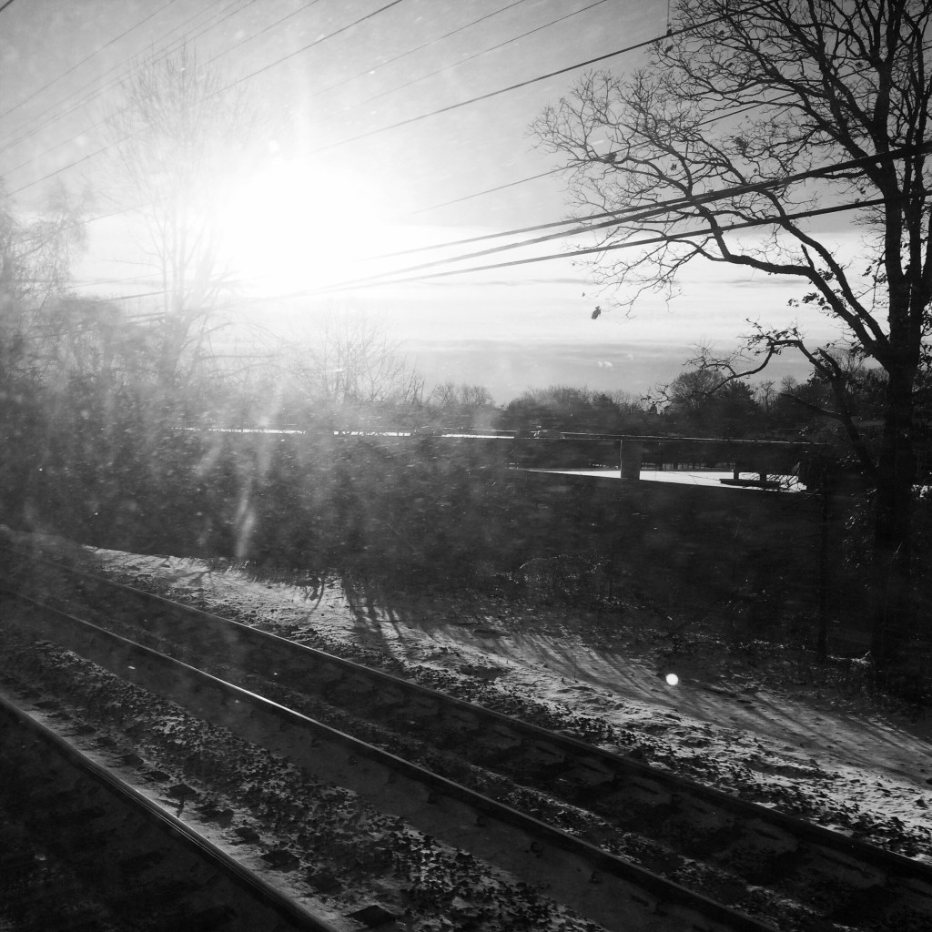 Sun rays of false hope / bright, bitter day, defenseless / against cutting cold. | haikumages