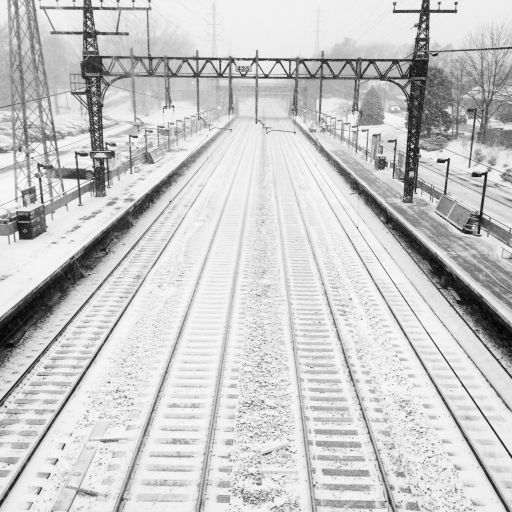 People came and went / cold morning snow set about / covering their tracks. / haikumages