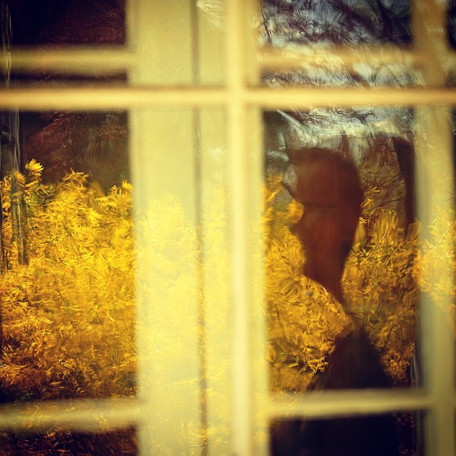 Haikumages - the Haikook - Russ Murray - abstract portrait by Jason Rearick