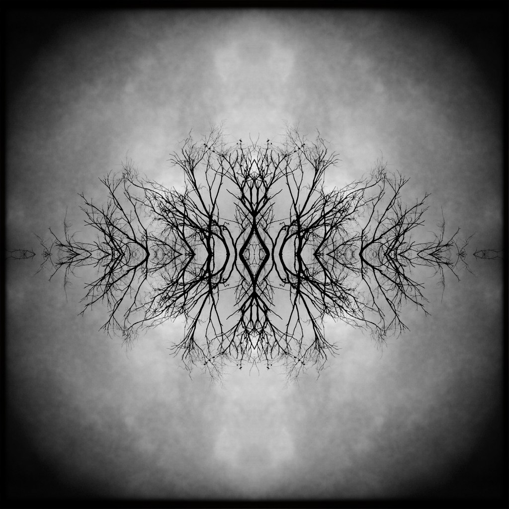 Untimely / departures, loved ones / leave too soon. // haikumages