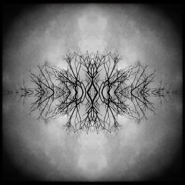 Untimely / departures, loved ones / leave too soon. // haikumages