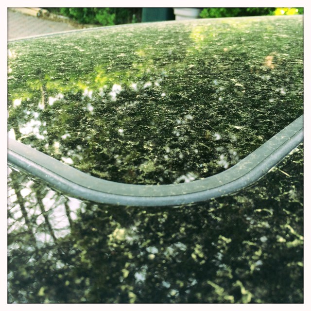 My black car dusted / by lust of various trees / cross-pollinated. // haikumages