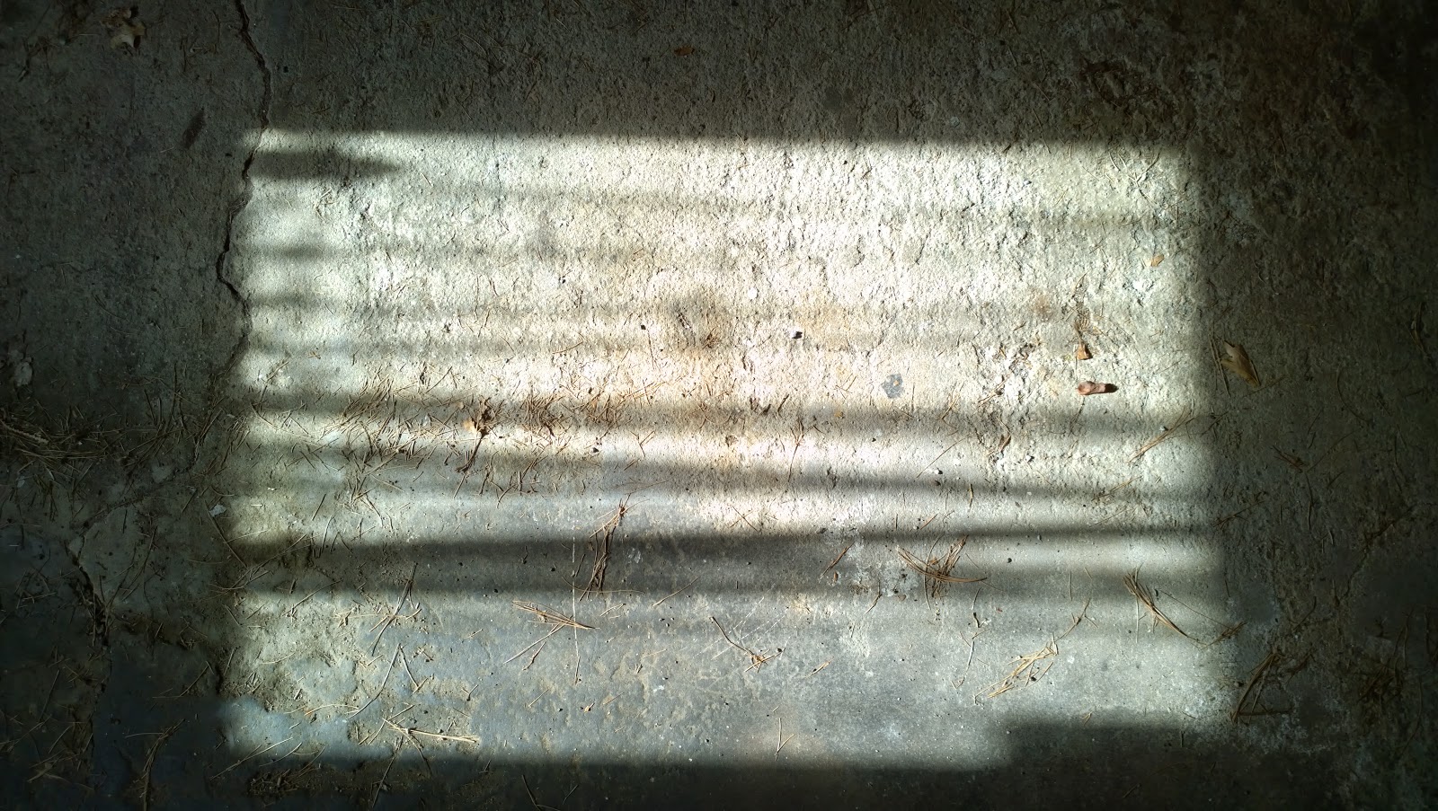 Some haiku / about my haiku / and senryu. // haikumages