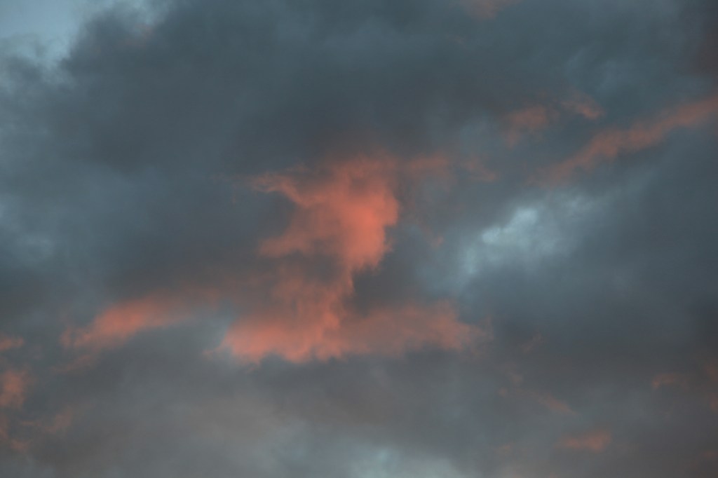 Scurvy elephant / his next adventure outside / erroneous zones. // haikumages / haiku