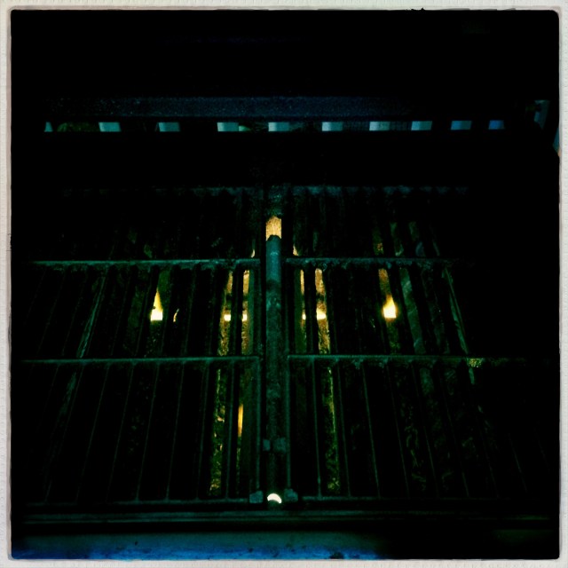 When re-lit, the grill / begins a heated debate / with last night's remnants. // haikumages