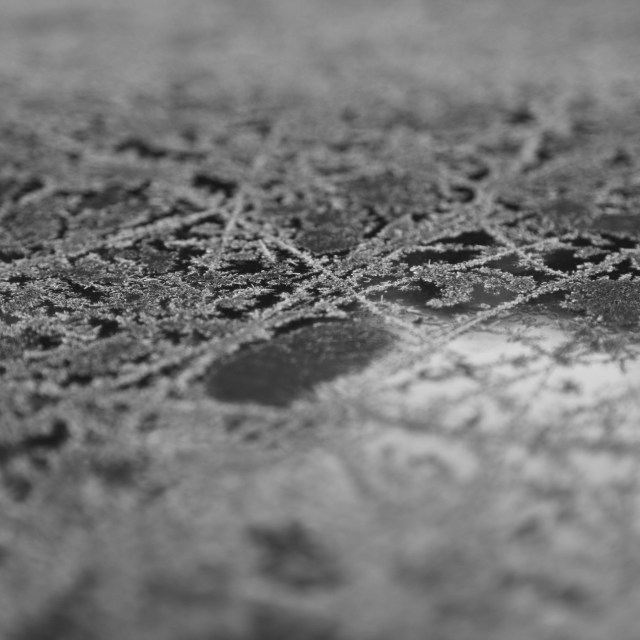 Dawn below freezing / sudden, chilling reminder / winter follows fall. // micropoetry - haiku