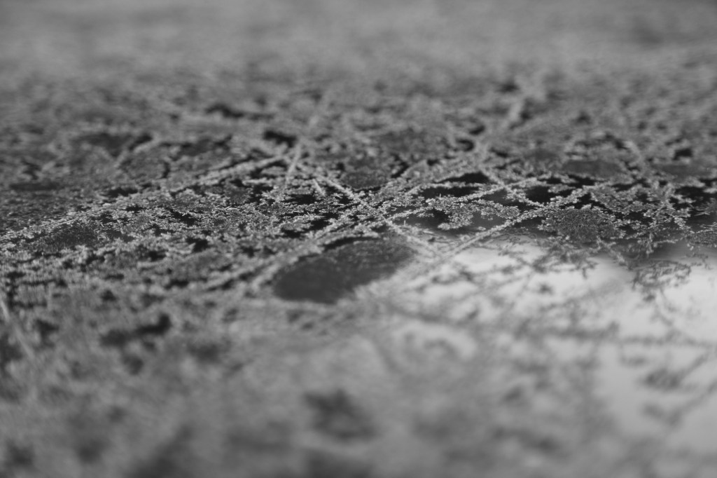 Dawn below freezing / sudden, chilling reminder / winter follows fall. // micropoetry - haiku