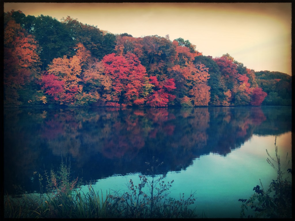 Foliage colors / across the still lake water / lit by the dawn sky. // micropoetry - haiku - haikumages