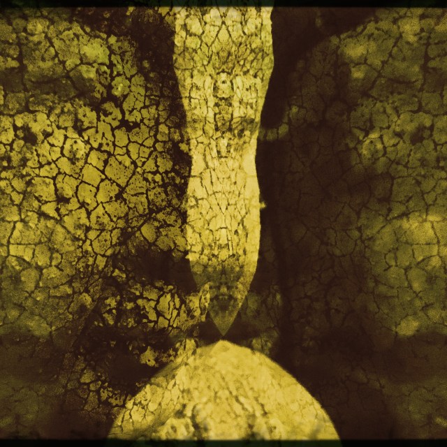 I know this pain well / of being pulled out of dreams / to reality. // micropoetry - haiku - haikumages