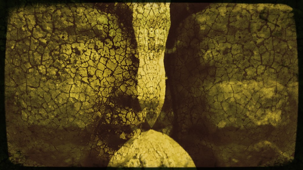 I know this pain well / of being pulled out of dreams / to reality. // micropoetry - haiku - haikumages