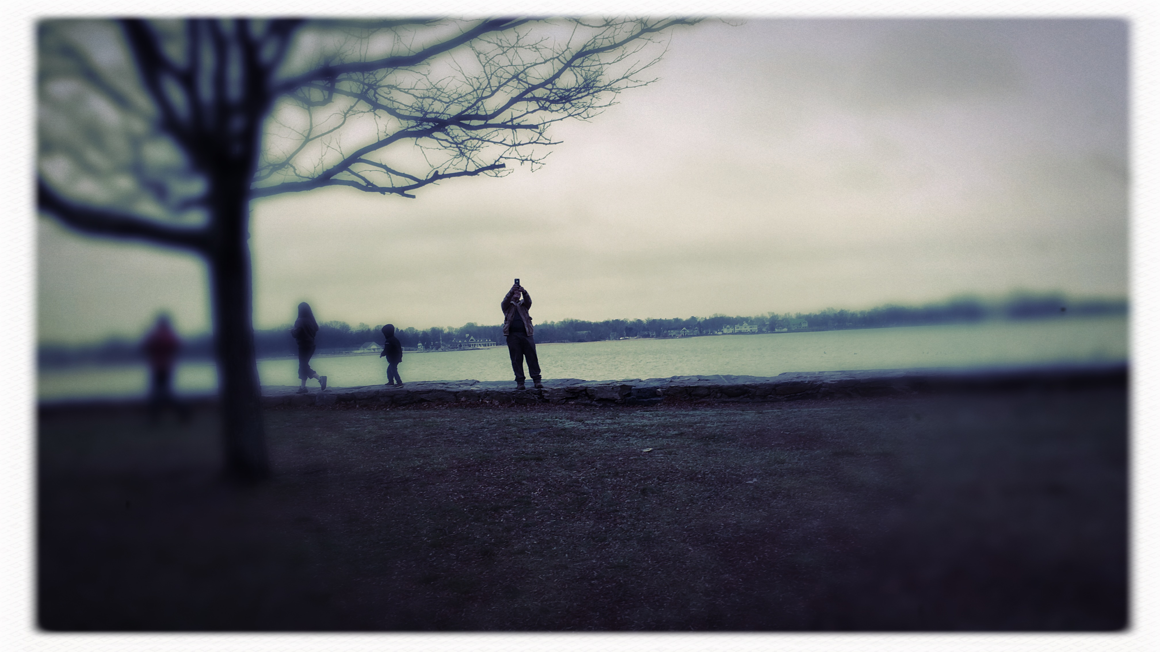 Warm Christmas Day walk / beautiful cacaphony / all cultures, all faiths. // haiku - micropoetry - haikumages