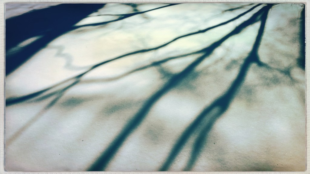 Sun painting shadows / freshly-prepared white canvas / of new-fallen snow. // micropoetry - haiku - haikumages