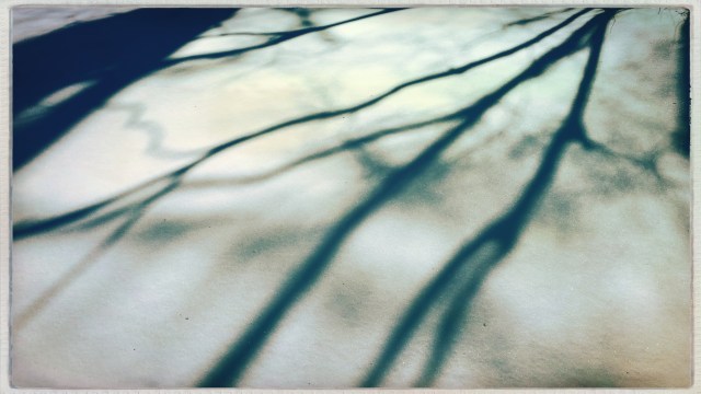 Sun painting shadows / freshly-prepared white canvas / of new-fallen snow. // micropoetry - haiku - haikumages