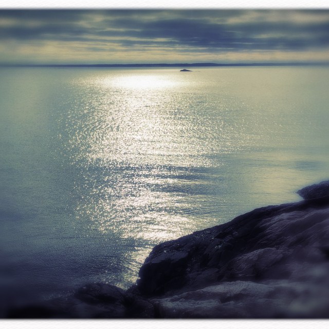 Artificial pause / a normal day, repurposed / to contemplate self. // micropoetry - haiku - haikumages