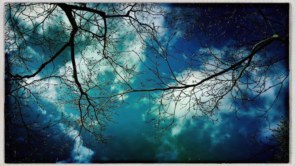 The lion of March / storming out of April's room / roaring as it leaves. // haiku - micropoetry - haikumages