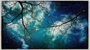 The lion of March / storming out of April's room / roaring as it leaves. // haiku - micropoetry - haikumages