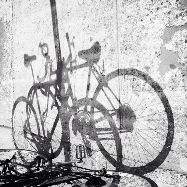 Bicycles / two of them may cast / one shadow. // haiku - micropoetry - haikumages