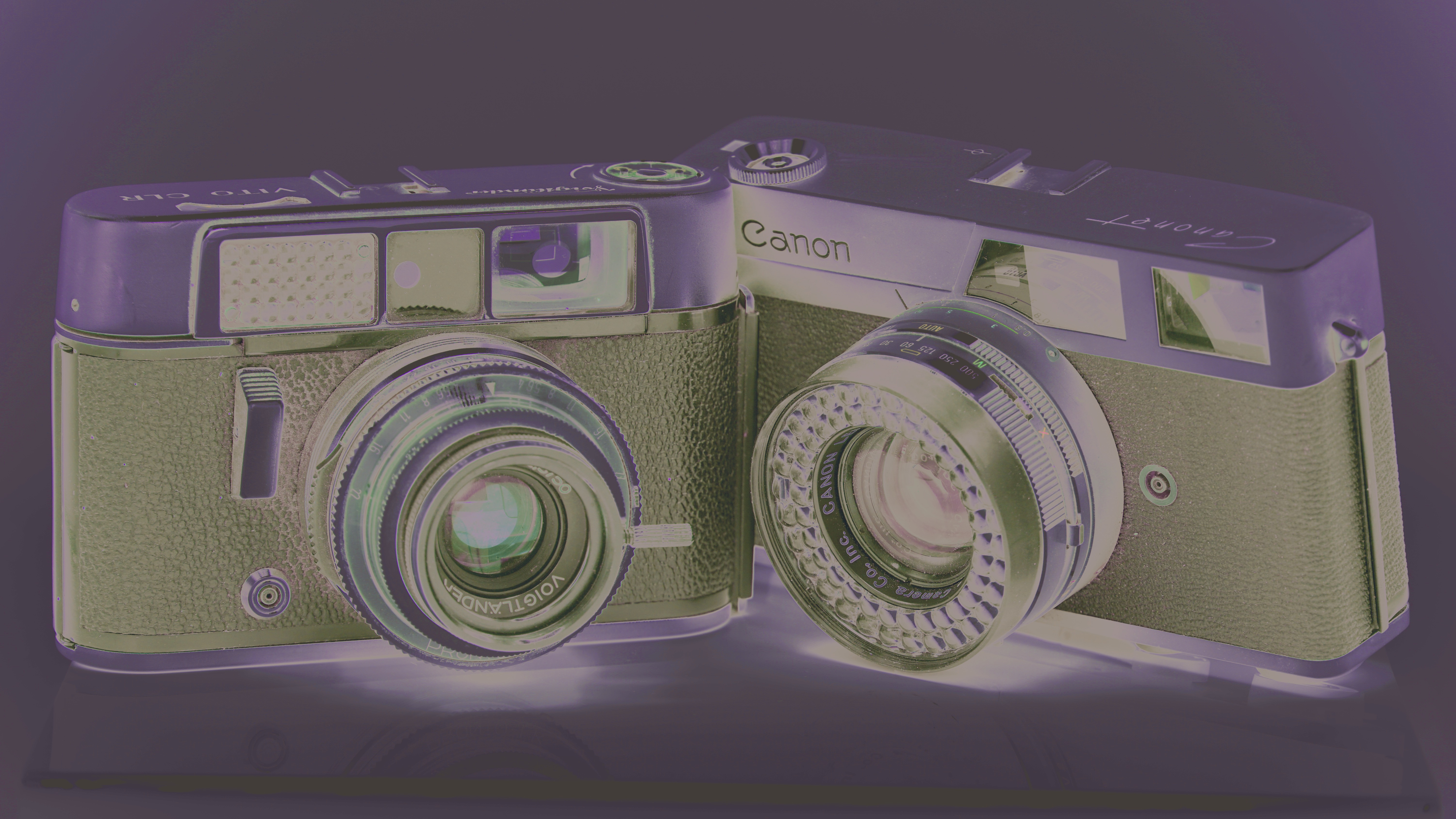 Two old cameras / lovingly manufactured / the same year I was. // micropoetry - haiku - haikumages