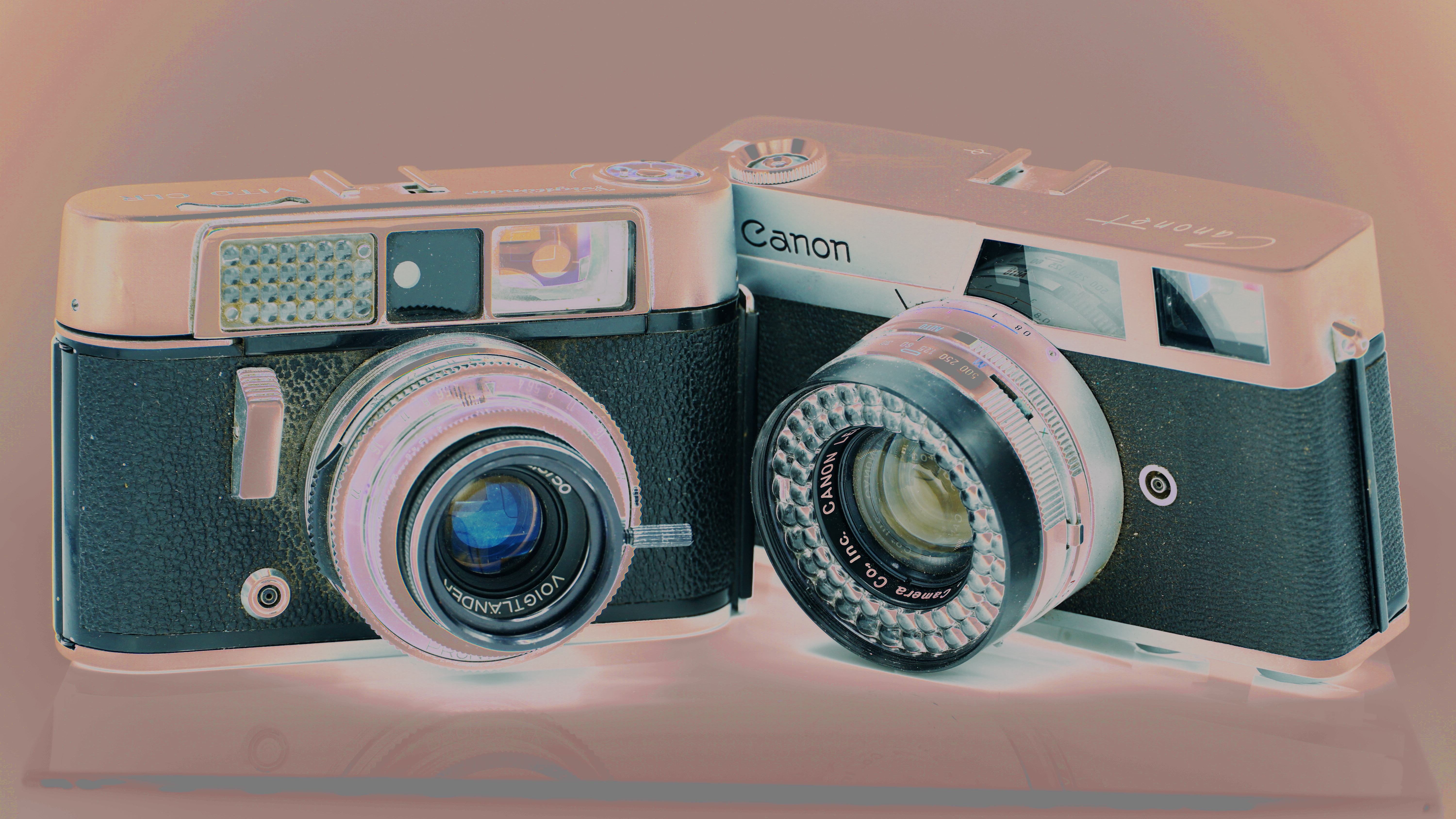 Two old cameras / lovingly manufactured / the same year I was. // haiku - micropoetry - haikumages