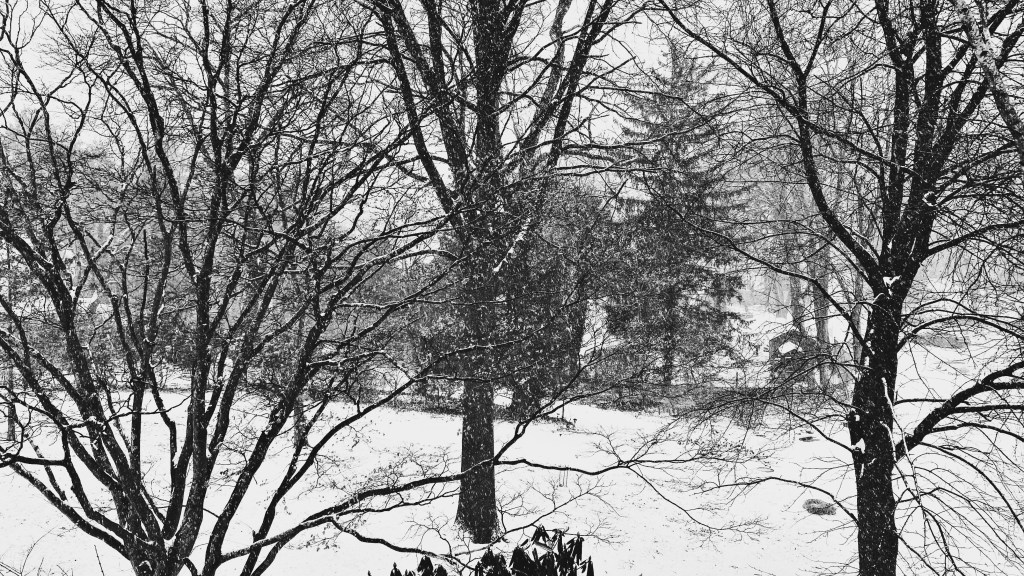 Heavy falling snow / a soft white noise percussion / on trees, ground and things. // micropoetry - haiku - haikumages