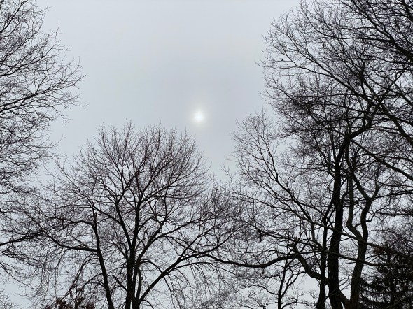 Sun glowing, diffused / peering through gathering clouds / before the snowstorm. // micropoetry - haiku - haikumages